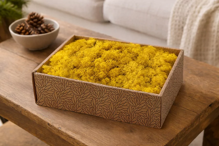 Preserved Reindeer Moss Yellow (Creabox M)