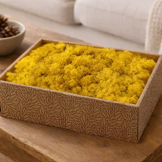Preserved Reindeer Moss Yellow (Creabox M)