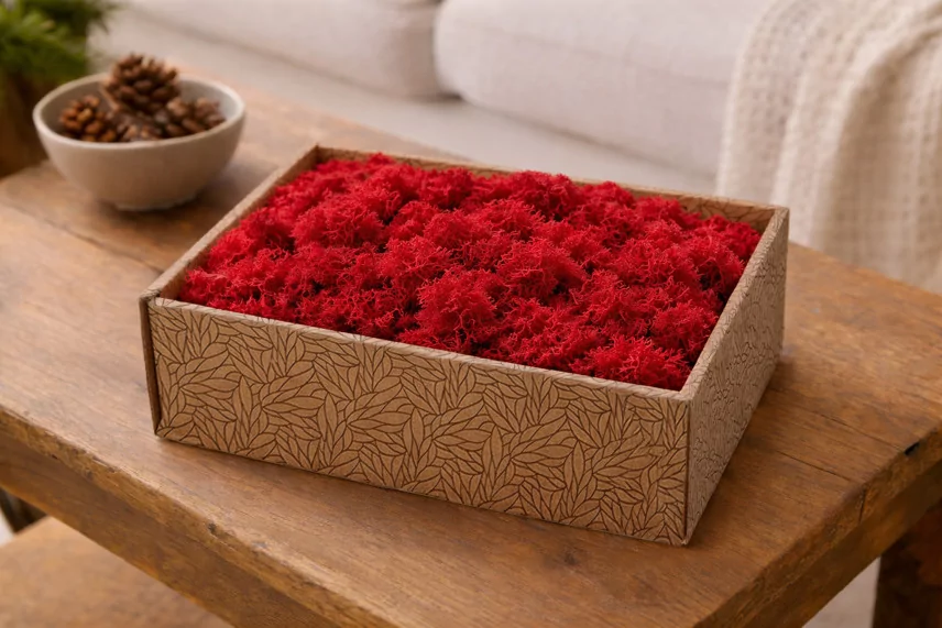 Preserved Reindeer Moss - Creabox M - Red