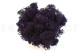 Preserved Reindeer Moss Purple (Creabox M) 3