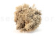 Preserved Reindeer Moss - Creabox M - Cream 3
