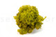 Preserved Reindeer Moss - Creabox M - Lime Green 3