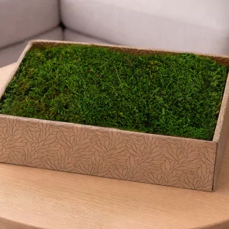 Preserved Sheet Moss (Creabox M)