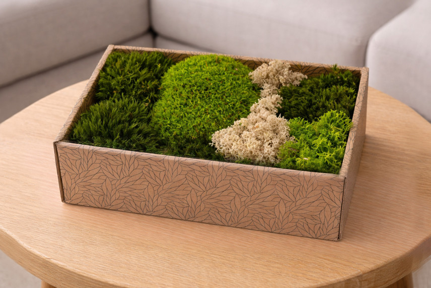 Preserved Moss Mix - Creabox M