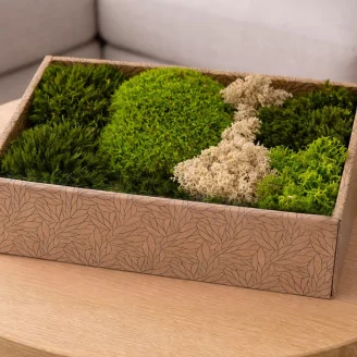 Preserved Moss Mix (Creabox M)