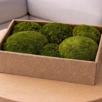 Preserved Pole Moss Nature Green (Creabox M)