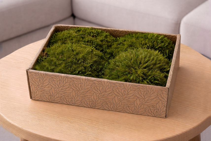 Preserved Mood Moss - Creabox M - Nature Green