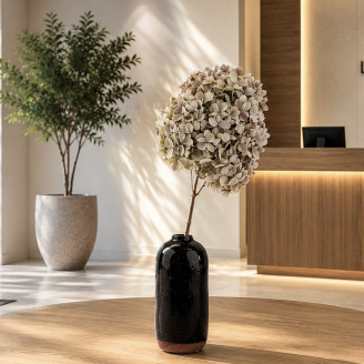 Preserved Peegee Hydrangea - Oregano Purple