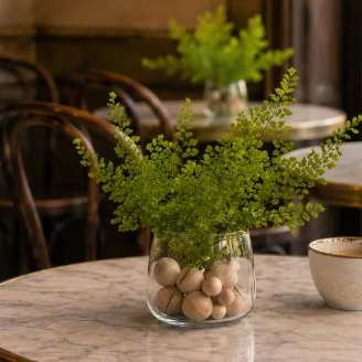 Preserved Lutti Fern - Fresh Green