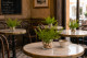 Preserved Lutti Fern Fresh Green 12