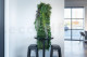 Black Felt Support Panel for Green Walls 2