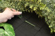 Black Felt Support Panel for Green Walls 3