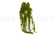 Preserved Amaranthus - Light Green 4