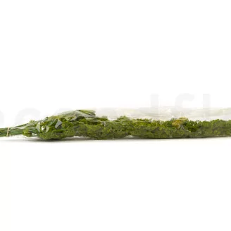 Preserved Amaranthus - Light Green