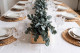 Preserved Eucalyptus Cinerea Green-Blue 13