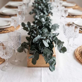 Preserved Eucalyptus Cinerea Green-Blue