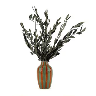 Preserved Olive Branch