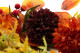 Artificial Fall Floral Wreath (14") 5