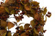 Artificial Fall Foliage Wreath (22") 2