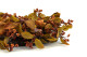 Artificial Fall Foliage Wreath (22") 5