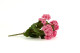 Artificial Geranium Bush 4
