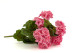 Artificial Geranium Bush 2