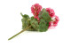 Artificial Geranium Bush 5