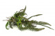 Artificial Mixed Fern Pick (set of 2) 2