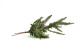 Artificial Mixed Fern Pick (set of 2) 4