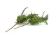 Artificial Mixed Fern Pick (set of 2) 6