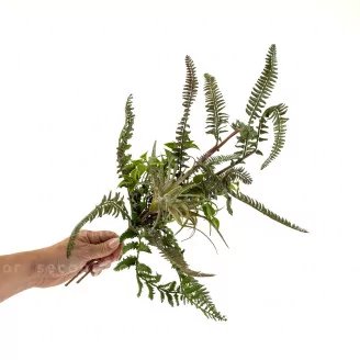 Artificial Mixed Fern Pick (set of 2)