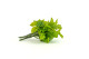 Artificial Pothos Leaf Bush (set of 3) 5