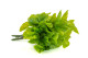 Artificial Pothos Leaf Bush (set of 3) 2