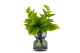 Artificial Pothos Leaf Bush (set of 3) 6