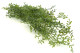 Artificial Trailing Leaf Vine 2