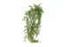 Artificial Trailing Leaf Vine 4