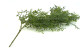 Artificial Trailing Leaf Vine 5
