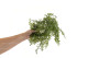 Artificial Trailing Leaf Vine 3