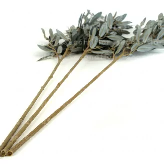 Artificial Olive Branch (set of 3)