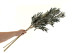 Artificial Olive Branch (set of 3) 4