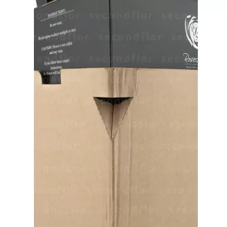 Preserved Red Rose on Stem - Retail Display (x12)