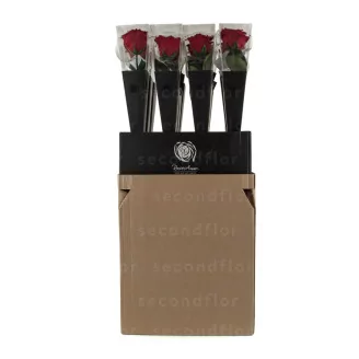 Preserved Red Rose on Stem - Retail Display (x12)