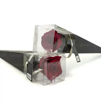 Preserved Red Rose on Stem - Retail Display (x12)