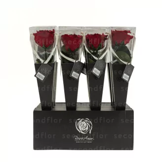 Preserved Red Rose on Stem - Retail Display (x12)