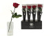 Preserved Red Rose on Stem - Retail Display (x12) 1