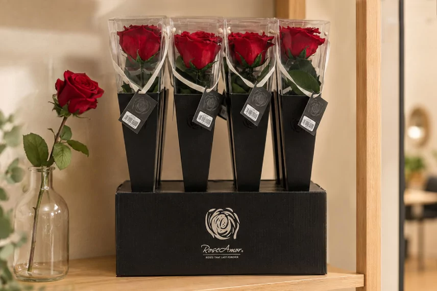 Preserved Red Rose on Stem - Retail Display (x12)