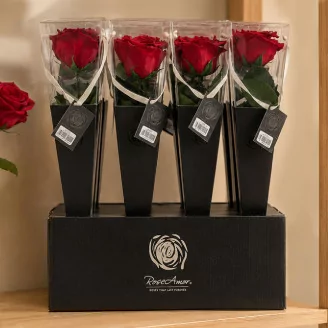 Preserved Red Rose on Stem - Retail Display (x12)