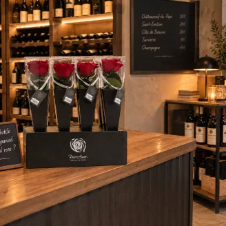 Preserved Red Rose on Stem - Retail Display (x12)