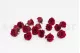 Preserved Princess Rose S Burgundy (set of 16) 2