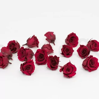 Preserved Princess Rose S Burgundy (set of 16)